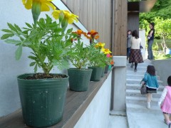 blog20090509-03