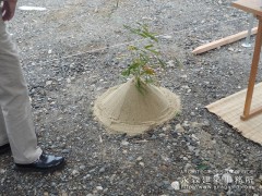 地鎮祭!3