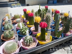 オープンハウス:「水廻りを共有する二世帯住宅」一日目2