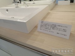 オープンハウス:『公園に隣接した明るい家』一日目5