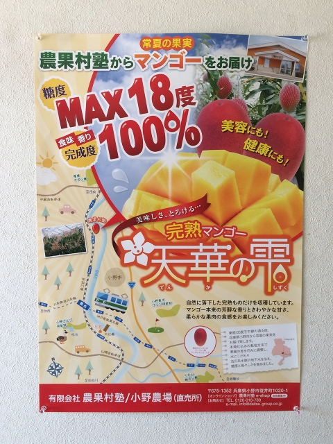 マンゴー販売施設!4